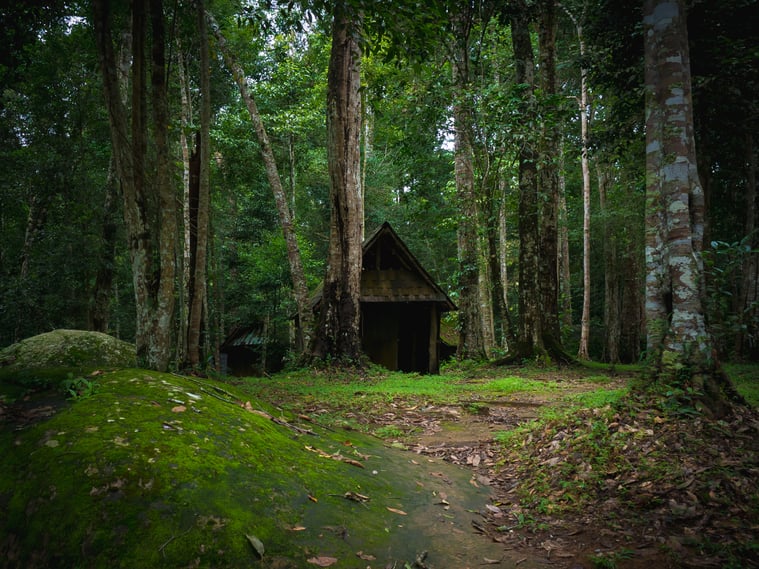 Old wooden cabin in the rainforest