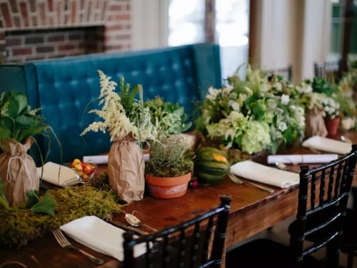 Plants on a table Sustainable practices
