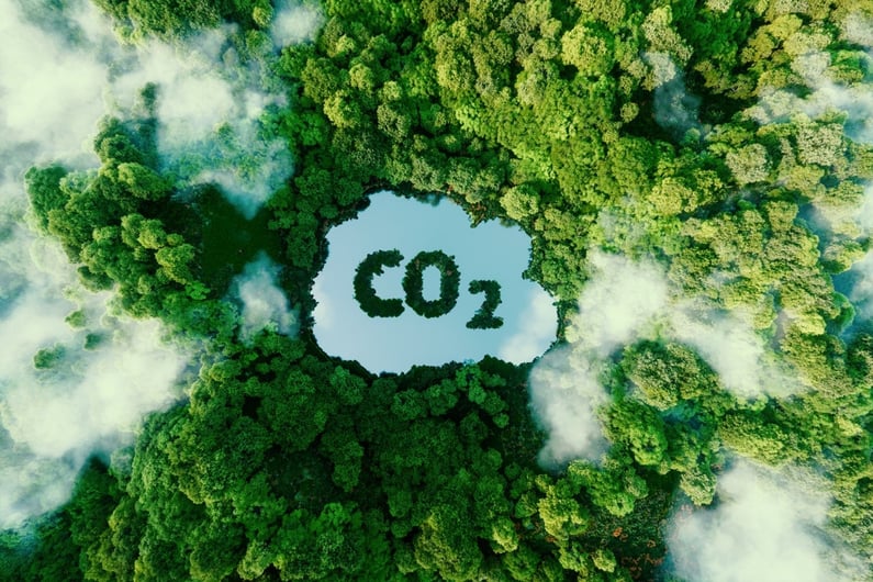 sustainable meeting co2 forest 